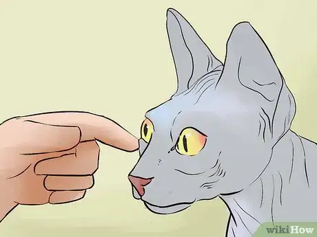 Image intitulée Tell if Your Cat Is Blind Step 8