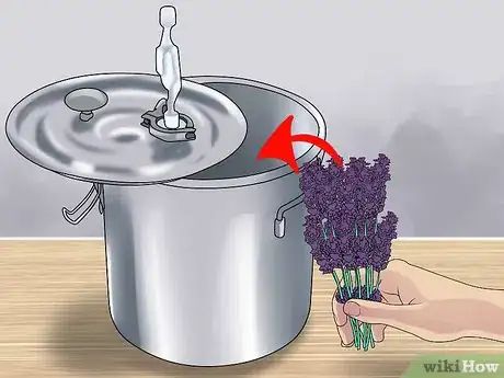Image intitulée Make Essential Oils Step 14