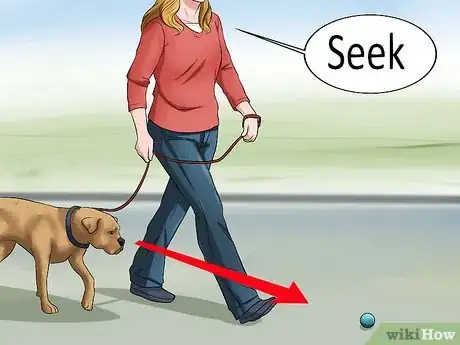 Image intitulée Teach a Dog to Track Step 6