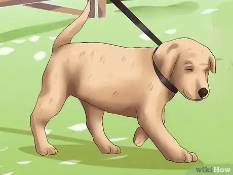 Image intitulée Get Your Puppy to Stop Biting Step 18