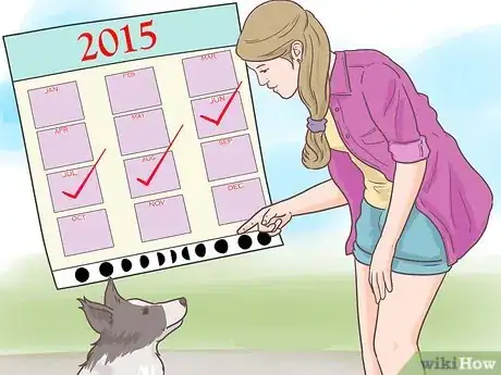 Image intitulée Test a Dog's Intelligence Step 11