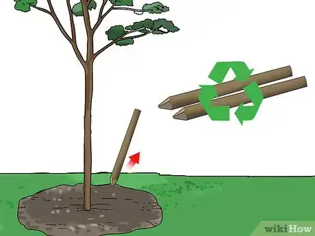 Image intitulée Stake up a Bush or Tree Step 9