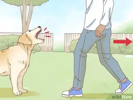 Image intitulée Pet a Dog Step 3