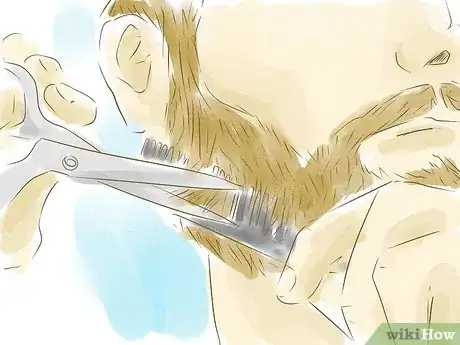 Image intitulée Cut a Beard Step 14