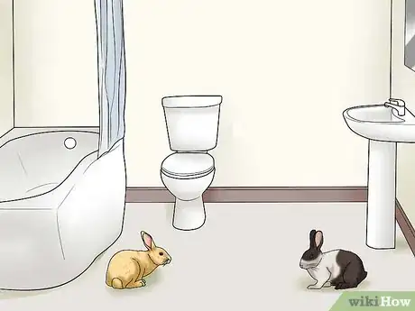 Image intitulée Introduce Rabbits Step 6
