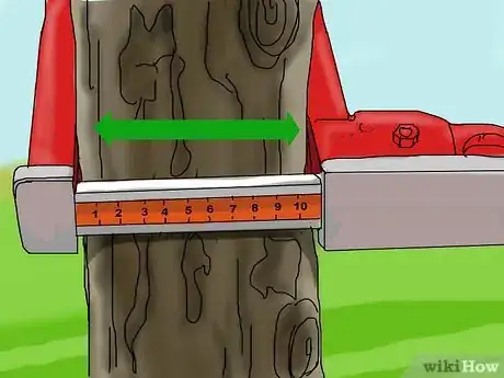 Image intitulée Identify a Sycamore Tree Step 4