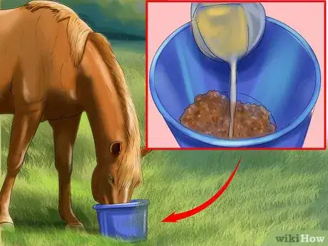 Image intitulée Make Your Horses' Coat Shine Step 7