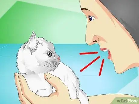 Image intitulée Stop Kittens from Crying Step 7