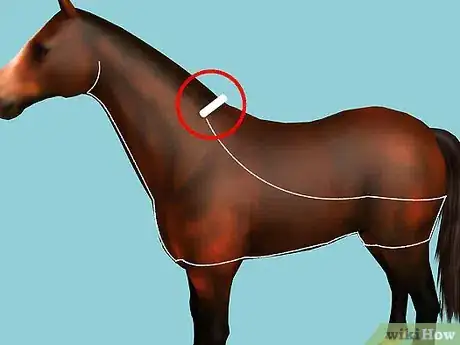 Image intitulée Clip Your Horse Step 8