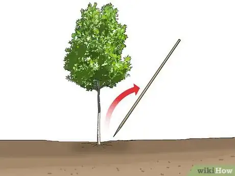 Image intitulée Stake up a Bush or Tree Step 5