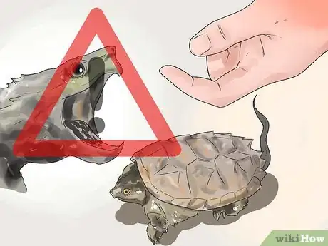 Image intitulée Pet a Turtle Step 9