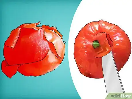 Image intitulée Preserve Tomatoes Step 12