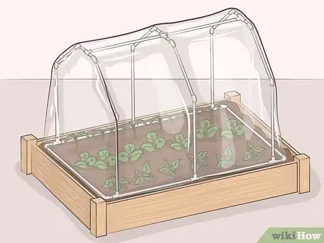 Image intitulée Make a Mini Greenhouse Step 14