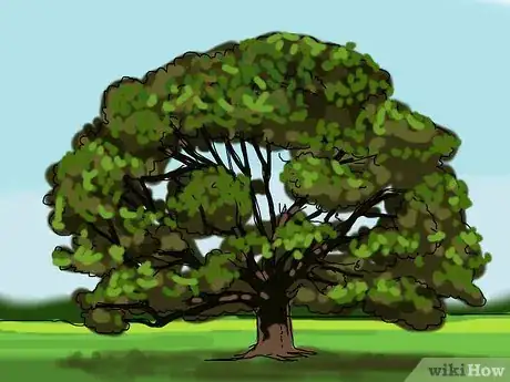 Image intitulée Identify a Sycamore Tree Step 3