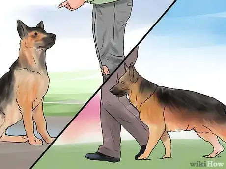 Image intitulée Train a German Shepherd Step 11