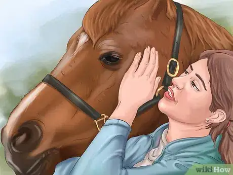 Image intitulée Get Your Horse to Trust and Respect You Step 4