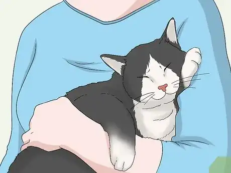 Image intitulée Soothe Your Cat With a Massage Step 1