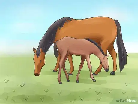 Image intitulée Name a Horse Step 3