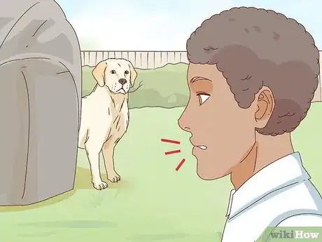 Image intitulée Pet a Dog Step 5