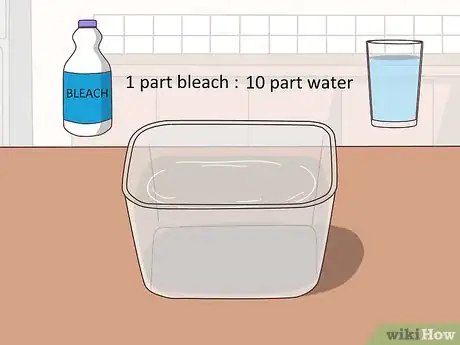 Image intitulée Preserve Extracted Teeth Step 7