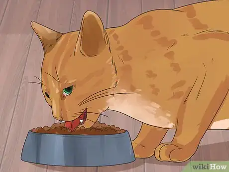 Image intitulée Treat Feline Cancer Step 10