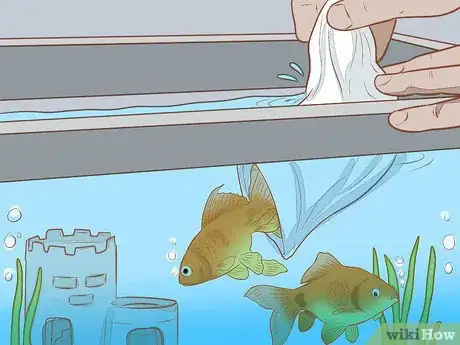 Image intitulée Add Fish to a New Tank Step 9