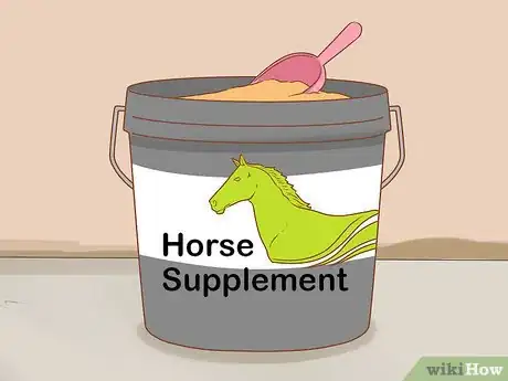 Image intitulée Feed a Horse Step 5