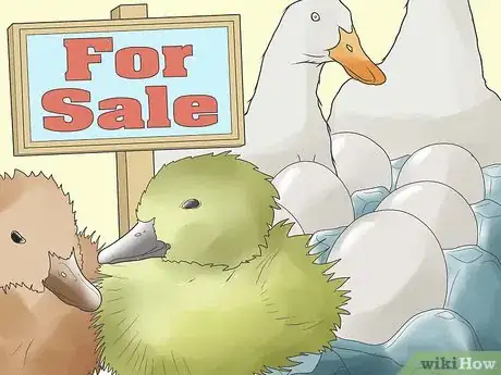 Image intitulée Raise Ducks Step 25