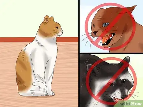 Image intitulée Tell if a Cat Has Rabies Step 10