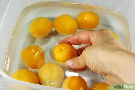 Image intitulée Freeze Apricots Step 2