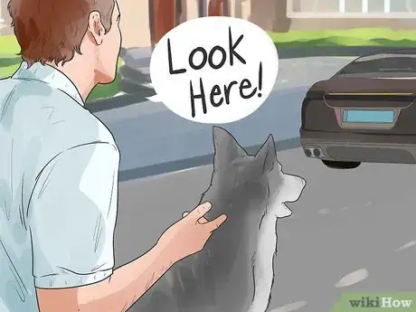 Image intitulée Deal With Your Dog's Fear of Vehicles Step 5