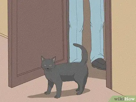 Image intitulée Keep a Cat from Running Away when It Is Moved Step 8