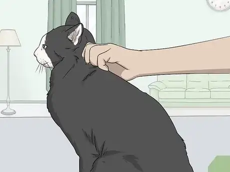 Image intitulée Soothe Your Cat With a Massage Step 8