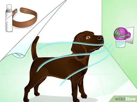 Image intitulée Stop Dog Marking Behaviors Step 22
