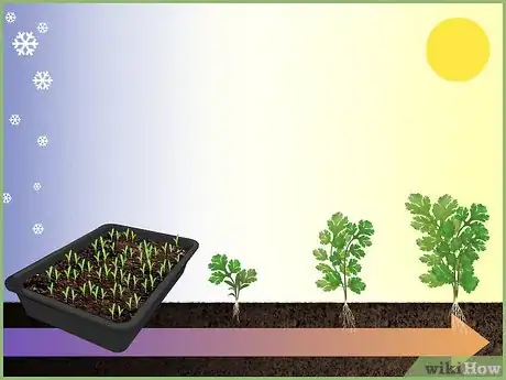 Image intitulée Plant a Seed Step 9