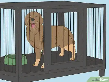 Image intitulée Keep Your Dog Calm After Neutering Step 5