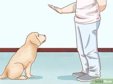Image intitulée Put on a Dog Harness Step 2