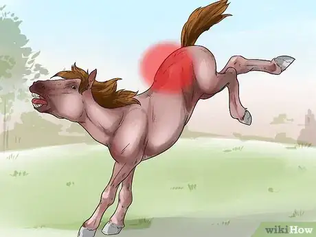 Image intitulée Tell if Your Horse Needs Hock Injections Step 2