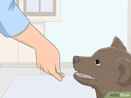 Image intitulée House Train Your Dog Step 8