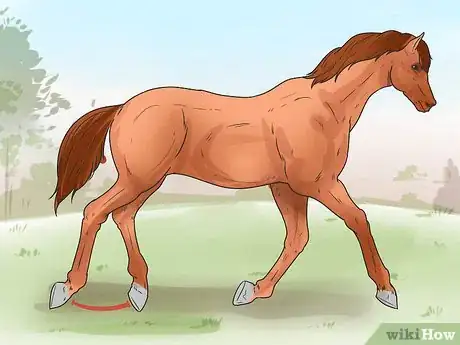 Image intitulée Tell if Your Horse Needs Hock Injections Step 9