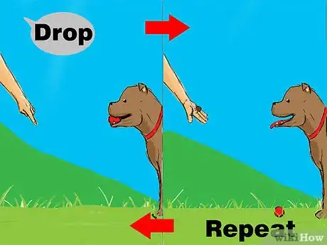 Image intitulée Teach Your Dog to Drop It Step 9