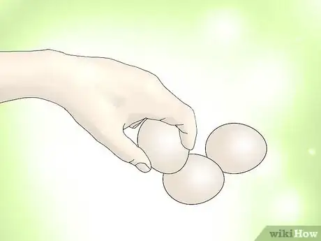 Image intitulée Hatch a Goose Egg Step 10