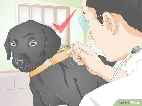 Image intitulée Make a Dog Collar Step 16