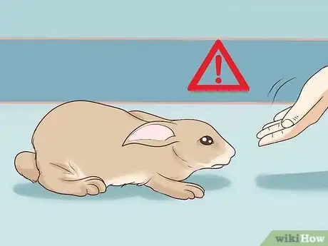 Image intitulée Pet a Rabbit Step 5