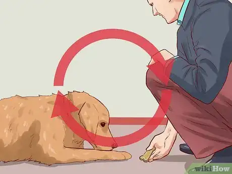 Image intitulée Teach Your Dog Basic Commands Step 12