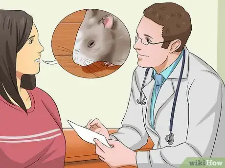 Image intitulée Help a Hamster With Sticky Eye Step 9