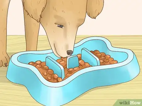 Image intitulée Increase Appetite in Dogs Step 5