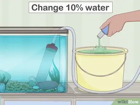 Image intitulée Clean a Fish Tank Step 14