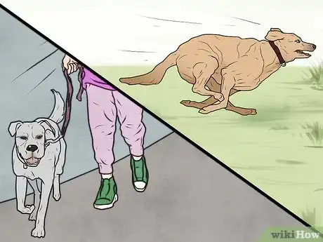 Image intitulée Punish a Dog Step 9