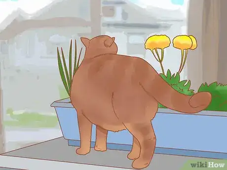 Image intitulée Prevent Cats from Eating Plants Step 12